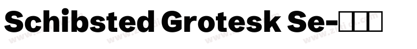 Schibsted Grotesk Se字体转换